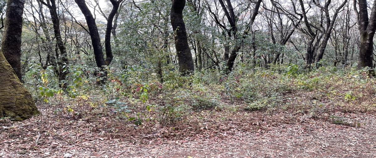 Foto de terreno habitacional en venta en  , santa ana jilotzingo, jilotzingo, méxico, 22079226 No. 03