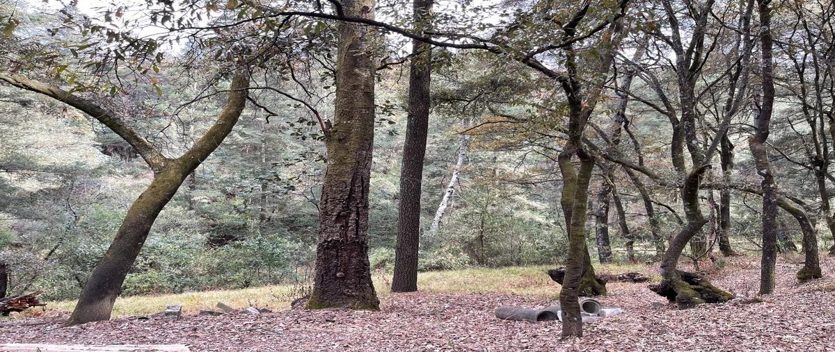Foto de terreno habitacional en venta en  , santa ana jilotzingo, jilotzingo, méxico, 22079226 No. 04