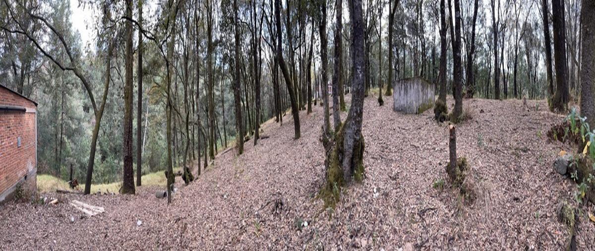 Foto de terreno habitacional en venta en  , santa ana jilotzingo, jilotzingo, méxico, 22079226 No. 05