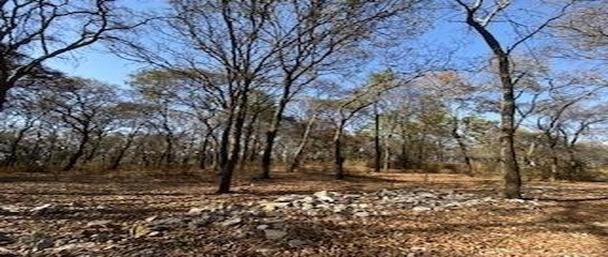 Foto de terreno habitacional en venta en  , santa ana jilotzingo, jilotzingo, méxico, 24596898 No. 05