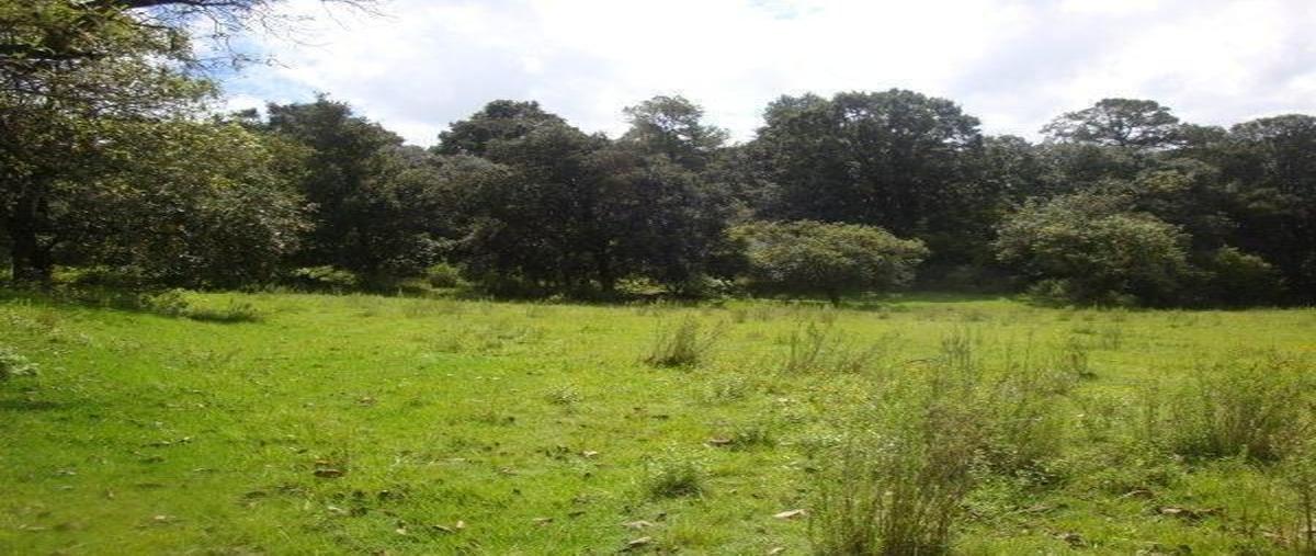 Foto de terreno habitacional en venta en  , santa ana jilotzingo, jilotzingo, méxico, 26684855 No. 04