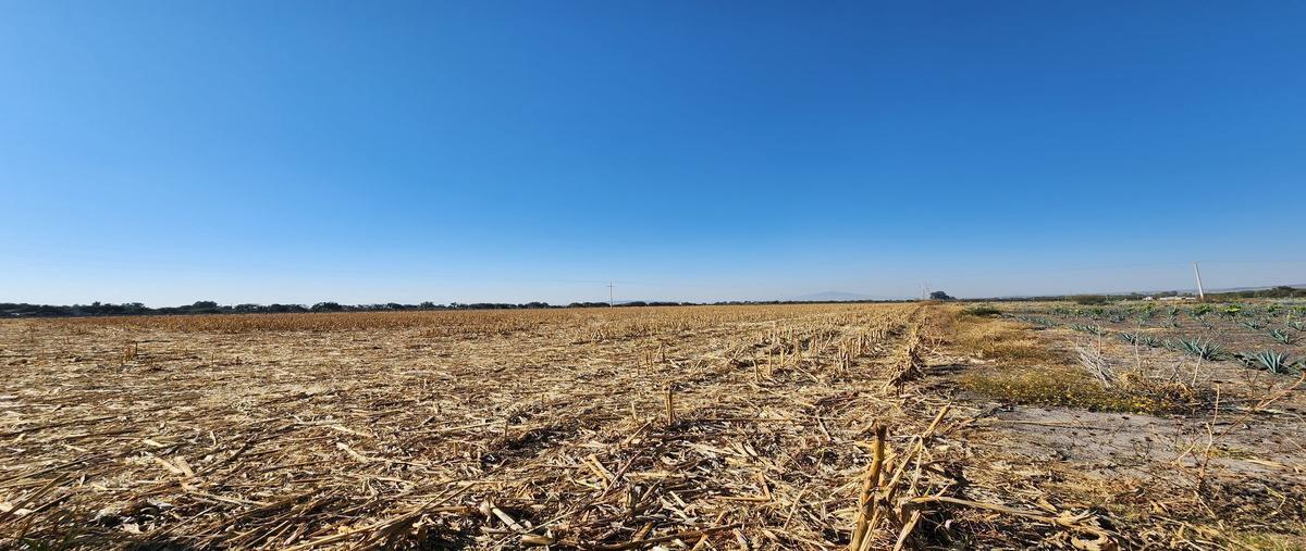 Foto de rancho en venta en  , santa ana pacueco, pénjamo, guanajuato, 25937210 No. 03