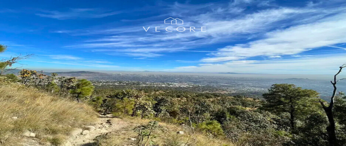Foto de terreno habitacional en venta en santa ana tepetitlan , bugambilias, zapopan, jalisco, 29388428 No. 03