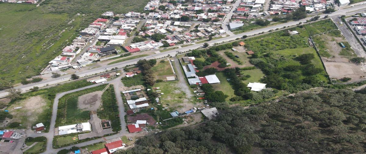 Foto de terreno habitacional en venta en  , santa ana tepetitlán, zapopan, jalisco, 0 No. 04