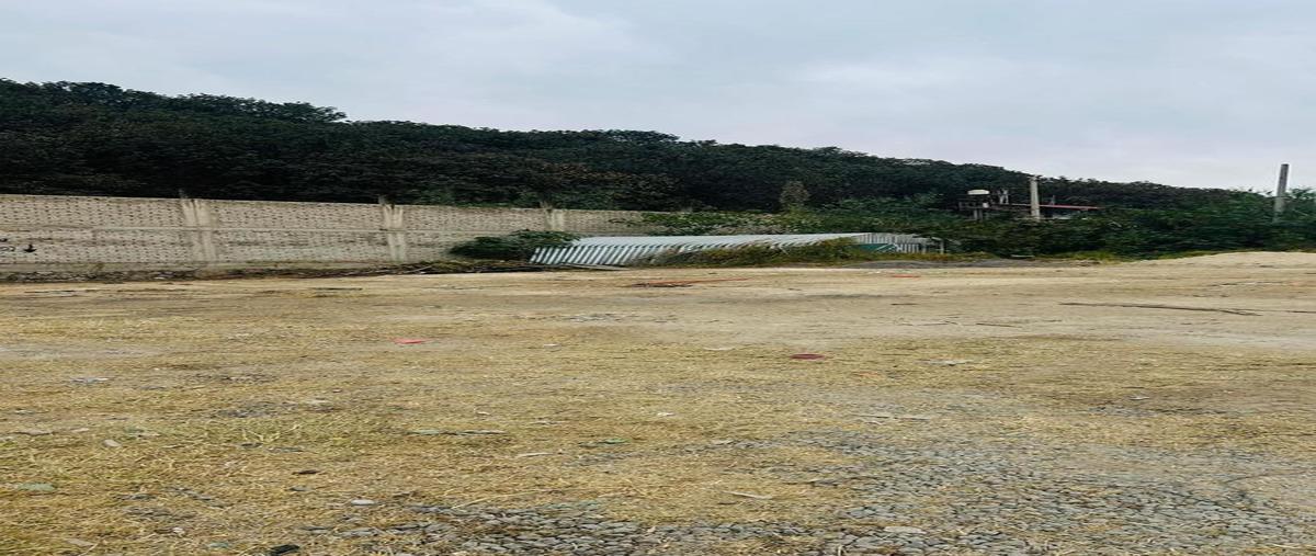 Foto de terreno habitacional en venta en  , santa ana tepetitlán, zapopan, jalisco, 0 No. 05