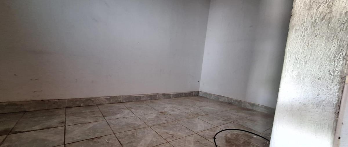 Foto de bodega en renta en  , santa ana tepetitlán, zapopan, jalisco, 0 No. 04