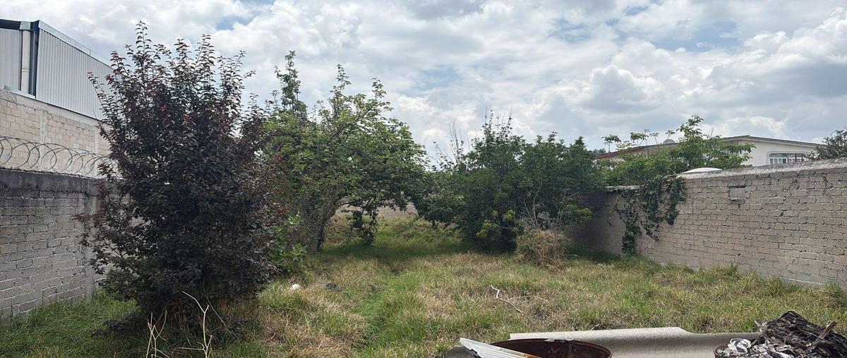 Foto de terreno habitacional en venta en  , santa ana tlapaltitlán, toluca, méxico, 0 No. 03