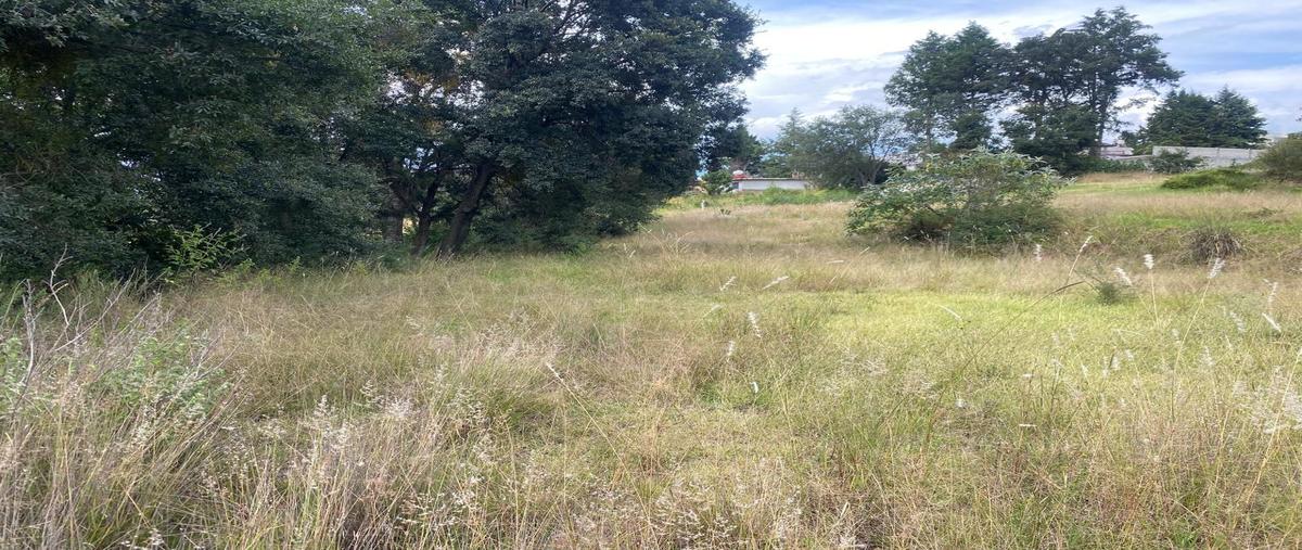 Foto de terreno habitacional en venta en  , santa anita huiloac, apizaco, tlaxcala, 0 No. 03