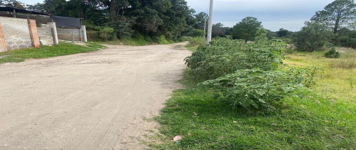 Foto de terreno habitacional en venta en  , santa anita huiloac, apizaco, tlaxcala, 0 No. 04