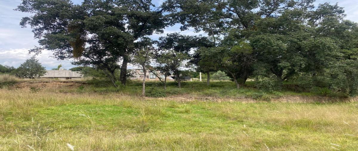Foto de terreno habitacional en venta en  , santa anita huiloac, apizaco, tlaxcala, 0 No. 05