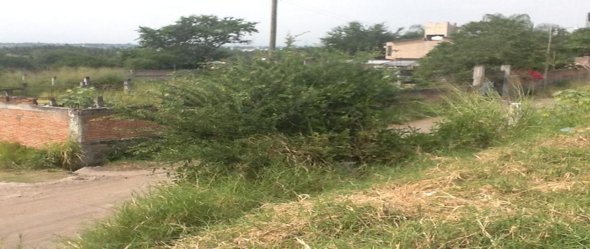 Foto de terreno habitacional en venta en santa anita , temixco centro, temixco, morelos, 25842877 No. 05