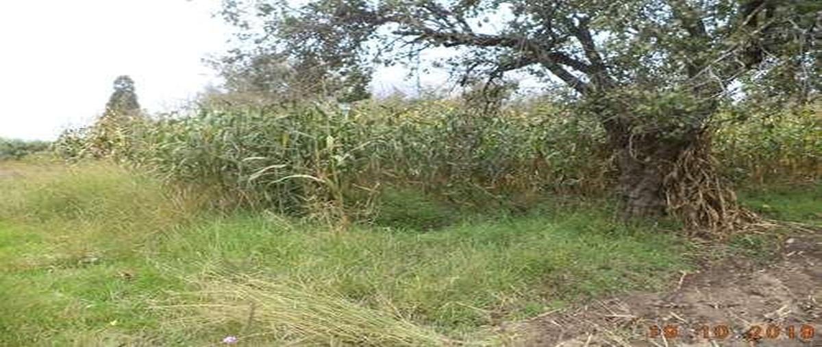 Foto de terreno habitacional en venta en  , santa bárbara almoloya, san pedro cholula, puebla, 0 No. 05