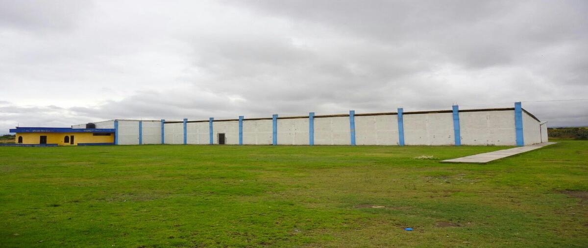 Foto de nave industrial en venta en santa barbara , emiliano zapata centro, emiliano zapata, hidalgo, 28787050 No. 04