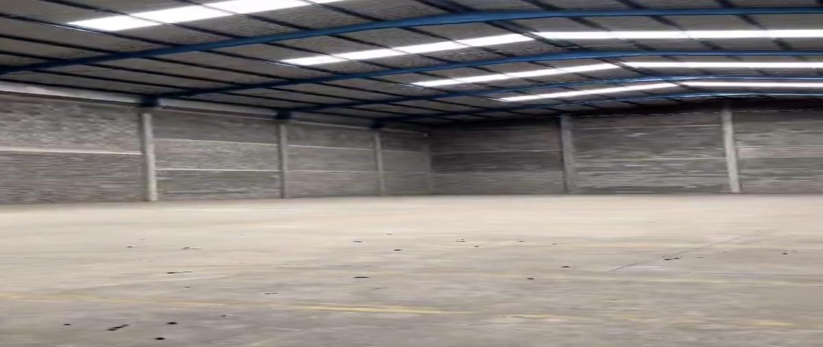 Foto de bodega en renta en  , santa catalina, santa catarina, nuevo león, 30058634 No. 03