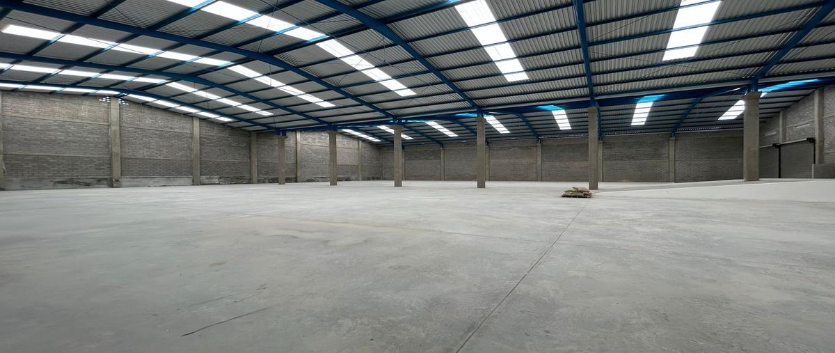 Foto de bodega en renta en  , santa catalina, santa catarina, nuevo león, 0 No. 05