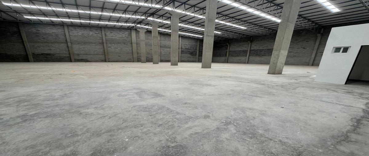 Foto de bodega en renta en  , santa catalina, santa catarina, nuevo león, 0 No. 03