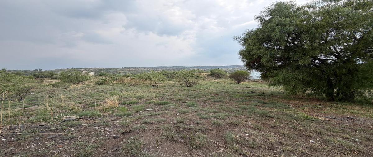 Foto de rancho en venta en  , santa catarina ayotzingo, chalco, méxico, 0 No. 05