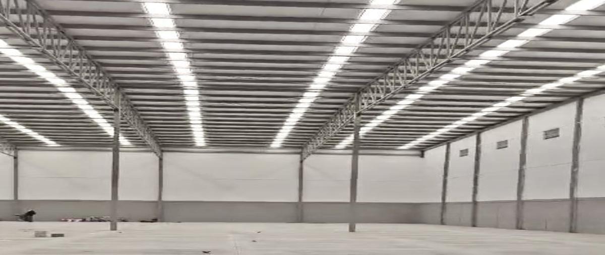 Foto de nave industrial en renta en  , santa catarina centro, santa catarina, nuevo león, 29406458 No. 05