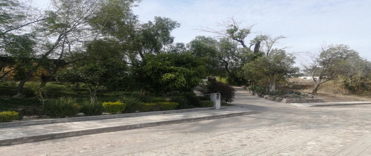 Foto de terreno habitacional en venta en  , santa catarina de cuevas (el tinaco), guanajuato, guanajuato, 30787390 No. 05