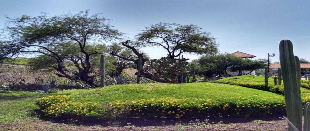 Foto de terreno habitacional en venta en  , santa catarina de cuevas (el tinaco), guanajuato, guanajuato, 0 No. 04