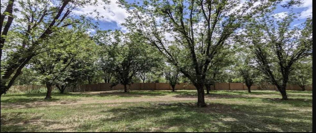 Foto de terreno habitacional en venta en  , santa catarina de cuevas (el tinaco), guanajuato, guanajuato, 0 No. 05