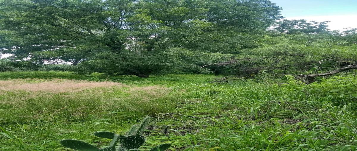 Foto de terreno habitacional en , santa catarina de cuevas (el tinaco), guanajuato, guanajuato, 0 foto 05 Foto de terreno habitacional en venta en , santa catarina de cuevas (el tinaco), guanajuato, guanajuato, 0 No. 05