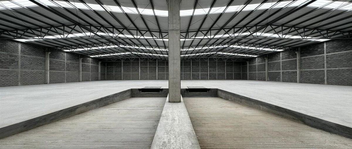 Foto de bodega en renta en  , santa catarina industrial park, santa catarina, nuevo león, 28452894 No. 04