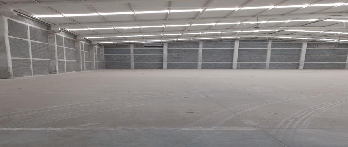 Foto de bodega en renta en  , santa catarina industrial park, santa catarina, nuevo león, 0 No. 05