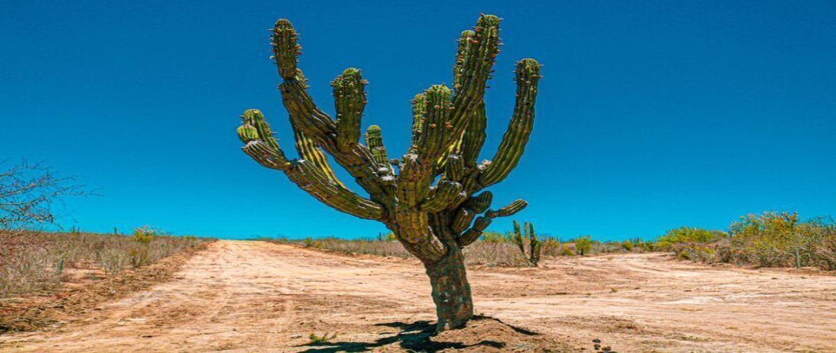Foto de terreno habitacional en , santa catarina, los cabos, baja california sur, 0 foto 03 Foto de terreno habitacional en venta en , santa catarina, los cabos, baja california sur, 0 No. 03