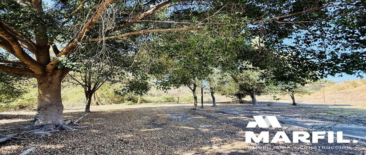 Foto de terreno habitacional en , santa cecilia, comala, colima, 25126564 foto 08 Foto de terreno habitacional en venta en , santa cecilia, comala, colima, 25126564 No. 08