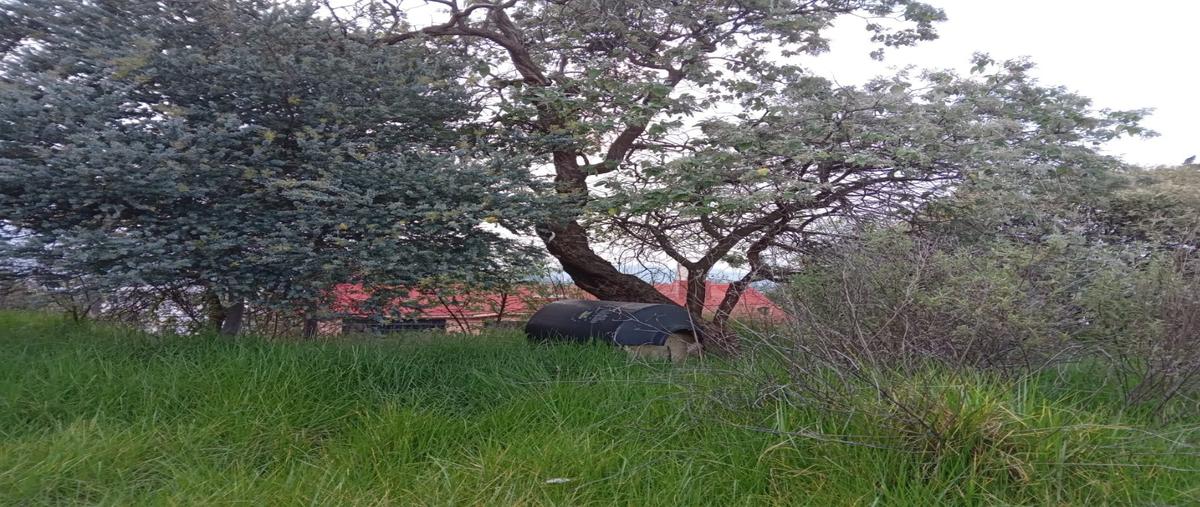 Foto de terreno habitacional en venta en  , santa cecilia tepetlapa, xochimilco, df / cdmx, 25733600 No. 04