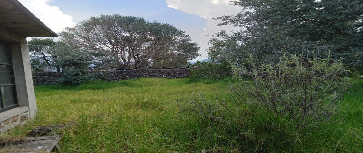 Foto de terreno habitacional en venta en  , santa cecilia tepetlapa, xochimilco, df / cdmx, 25733600 No. 05