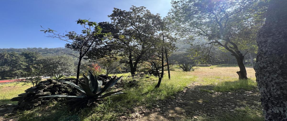 Foto de terreno habitacional en venta en  , santa cecilia tepetlapa, xochimilco, df / cdmx, 0 No. 02