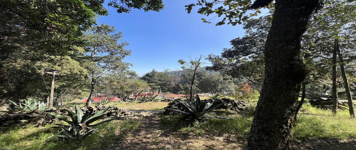 Foto de terreno habitacional en venta en  , santa cecilia tepetlapa, xochimilco, df / cdmx, 0 No. 03