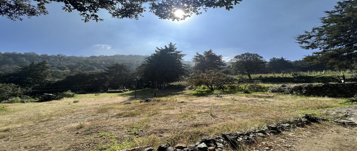 Foto de terreno habitacional en venta en  , santa cecilia tepetlapa, xochimilco, df / cdmx, 0 No. 04
