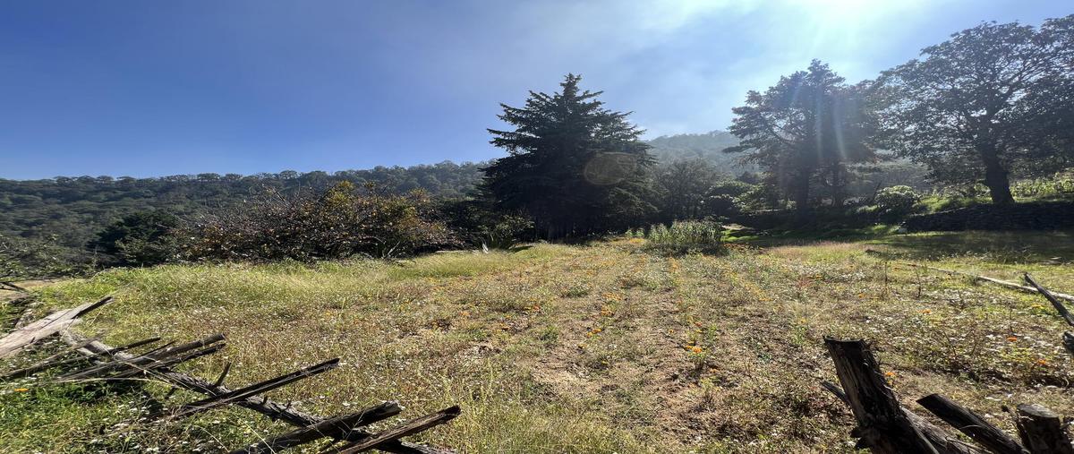 Foto de terreno habitacional en venta en  , santa cecilia tepetlapa, xochimilco, df / cdmx, 0 No. 05
