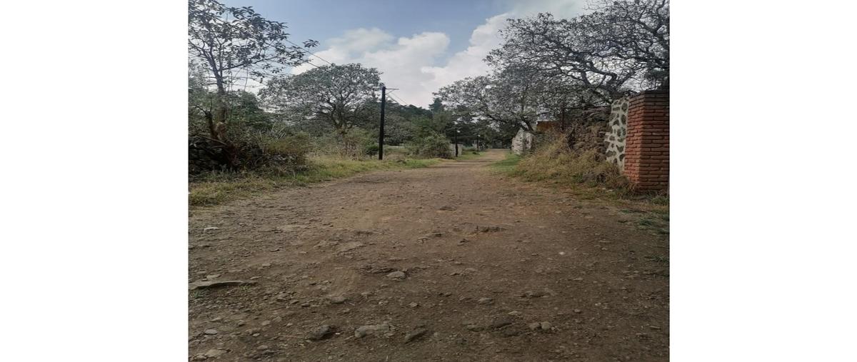Foto de terreno habitacional en venta en  , santa cecilia tepetlapa, xochimilco, df / cdmx, 0 No. 04
