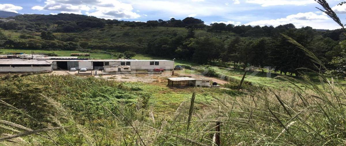 Foto de terreno habitacional en venta en  , santa cecilia tepetlapa, xochimilco, df / cdmx, 0 No. 05
