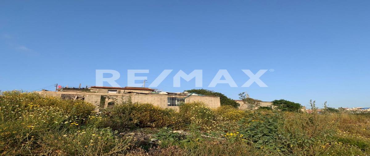 Foto de terreno habitacional en venta en santa celestina , ejido ruiz cortines, ensenada, baja california, 0 No. 01