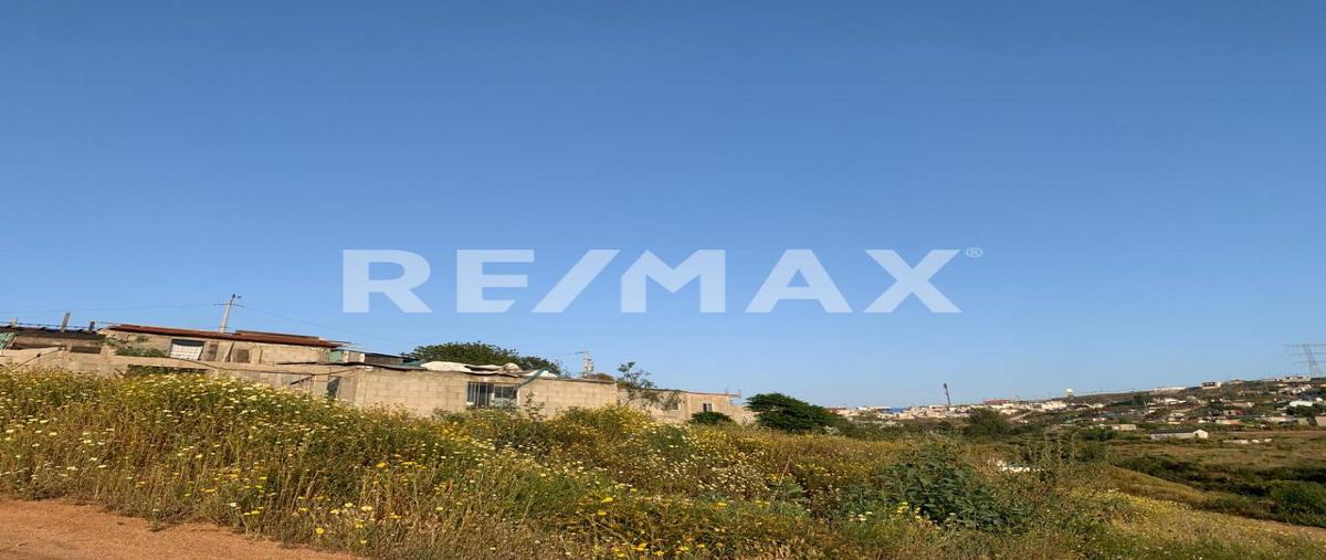 Foto de terreno habitacional en venta en santa celestina , ejido ruiz cortines, ensenada, baja california, 0 No. 02