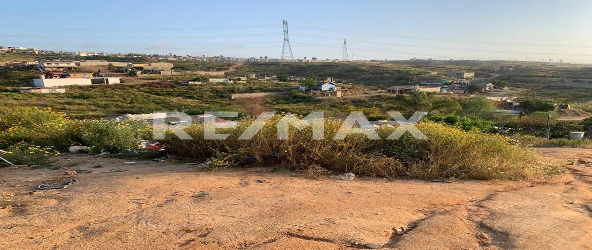 Foto de terreno habitacional en venta en santa celestina , ejido ruiz cortines, ensenada, baja california, 0 No. 03