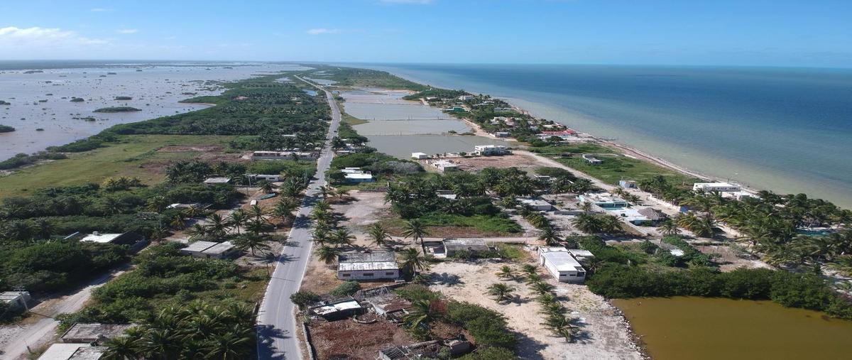 Foto de terreno habitacional en venta en  , santa clara dzibalku, tizimín, yucatán, 0 No. 05