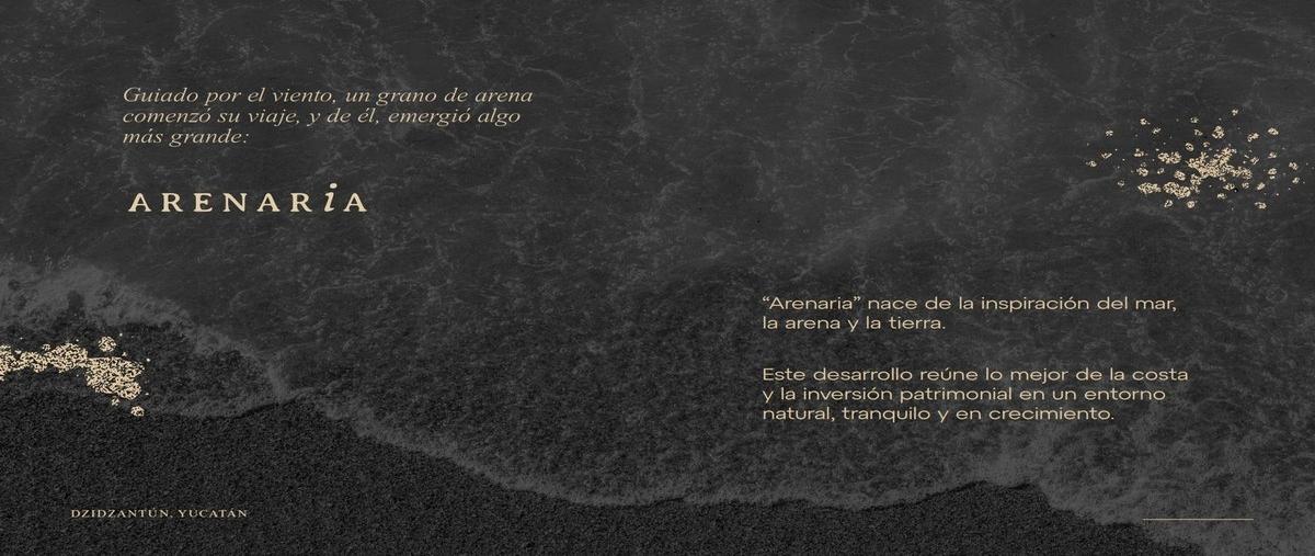 Foto de terreno habitacional en venta en  , santa clara, dzidzantún, yucatán, 17170634 No. 03