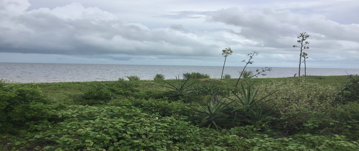 Foto de terreno habitacional en venta en  , santa clara, dzidzantún, yucatán, 20166439 No. 03