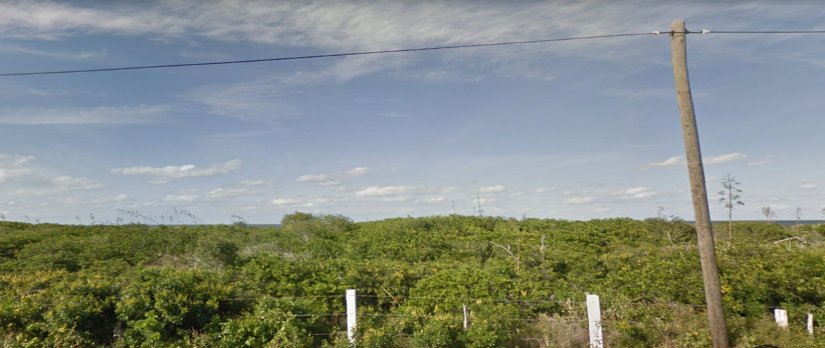 Foto de terreno habitacional en venta en  , santa clara, dzidzantún, yucatán, 20166439 No. 05