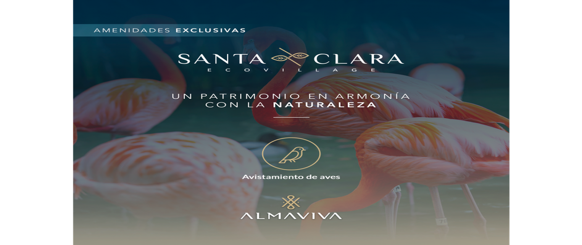 Foto de terreno habitacional en venta en  , santa clara, dzidzantún, yucatán, 0 No. 03