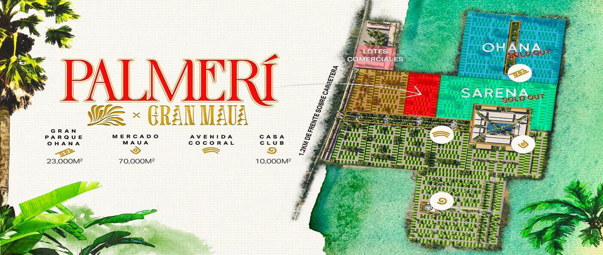Foto de terreno habitacional en venta en  , santa clara, dzidzantún, yucatán, 26686290 No. 05