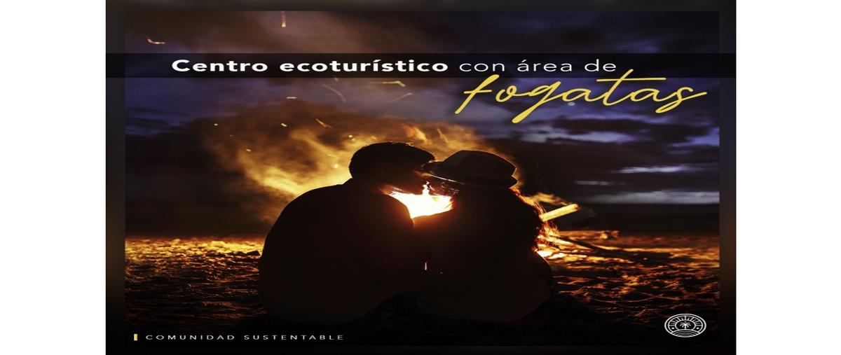 Foto de terreno habitacional en venta en  , santa clara, dzidzantún, yucatán, 0 No. 03