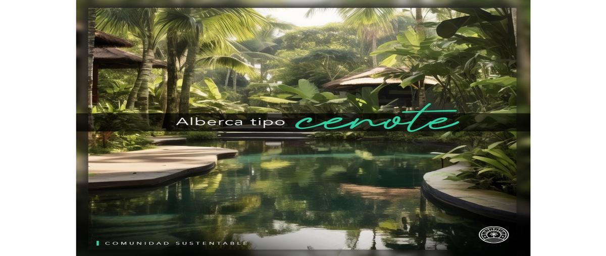 Foto de terreno habitacional en venta en  , santa clara, dzidzantún, yucatán, 0 No. 04