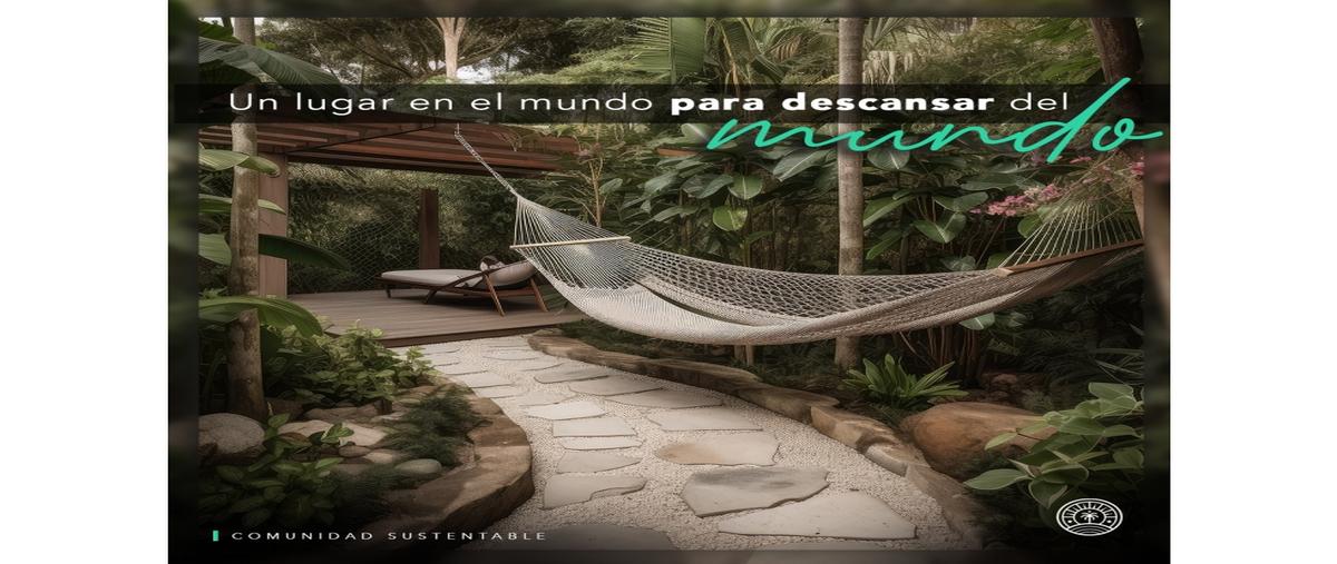 Foto de terreno habitacional en venta en  , santa clara, dzidzantún, yucatán, 0 No. 05